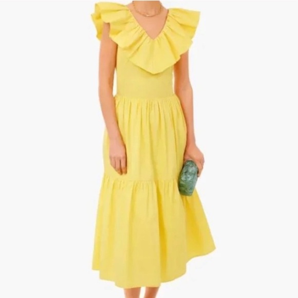 Tuckernuck Hyacinth House Yellow Ruffle Josie Dress Sleeveless Maxi - Picture 1 of 6